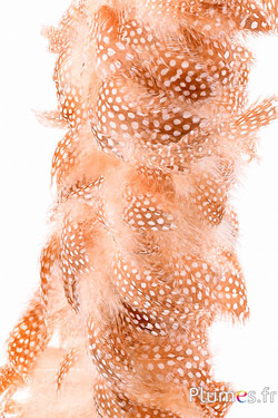 Perlhuhn - gebleicht - 7-13 cm - creme